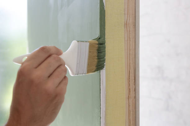 Best Black Mold Removal  in Pahoa, HI