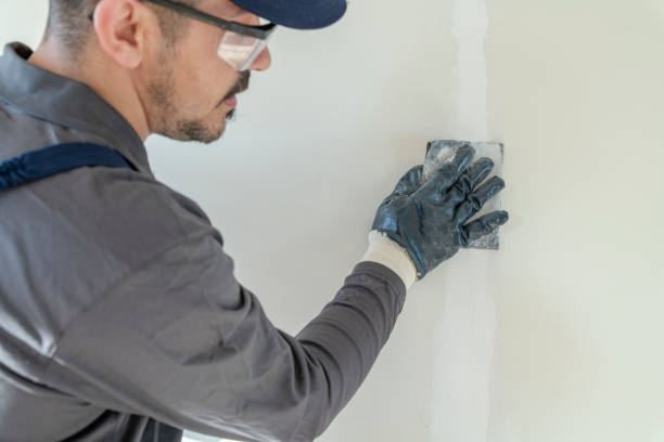Asbestos and Lead Testing During Mold Inspection in Pahoa, HI