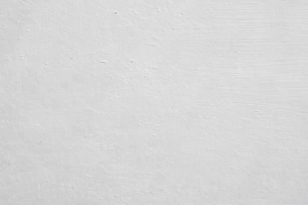 Best Mold Prevention Services  in Pahoa, HI