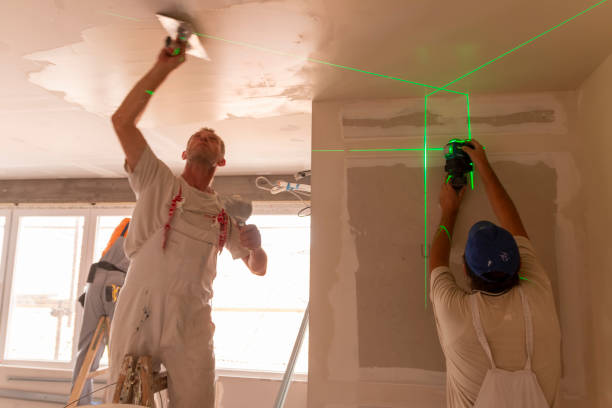  Pahoa, HI Mold Removal Pros