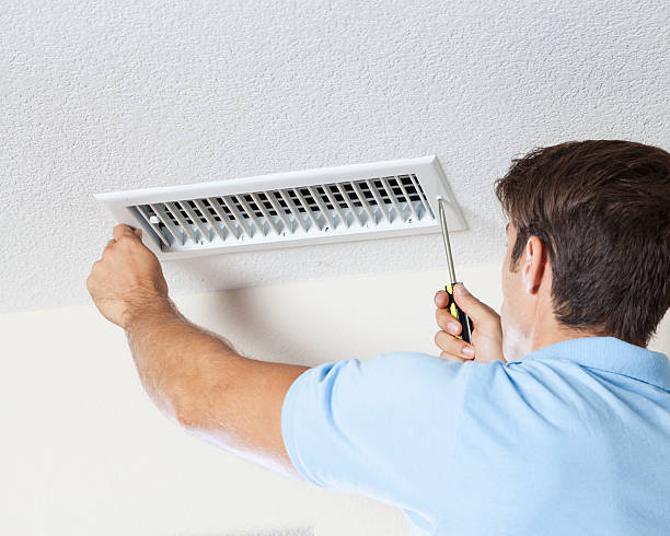 Best Basement Mold Removal  in Pahoa, HI