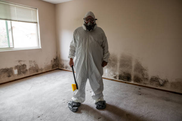 Best Industrial Mold Remediation  in Pahoa, HI