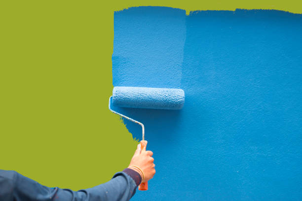 Best Mold Remediation for Healthcare Facilities  in Pahoa, HI